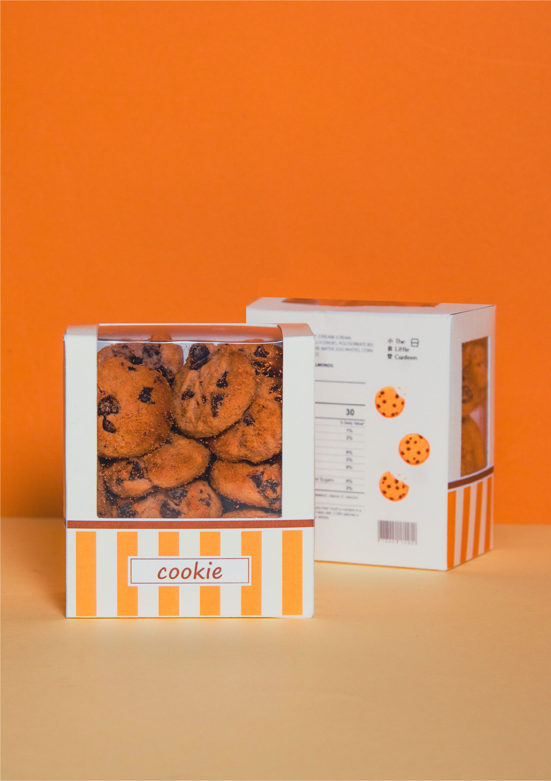 The Mini Bundle – Packaging Of The World 4.jpg