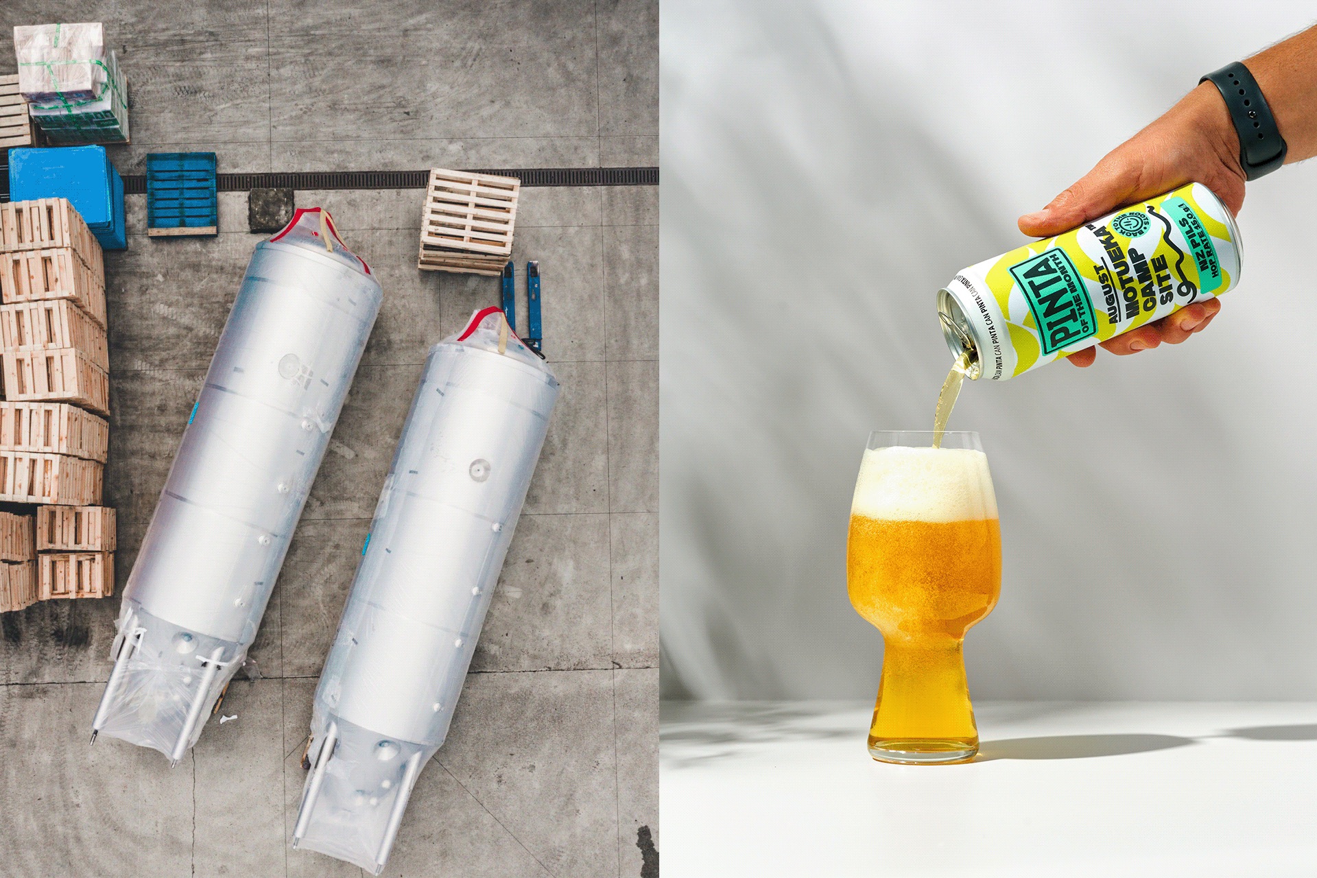 PINTA Of The Month 6.jpeg