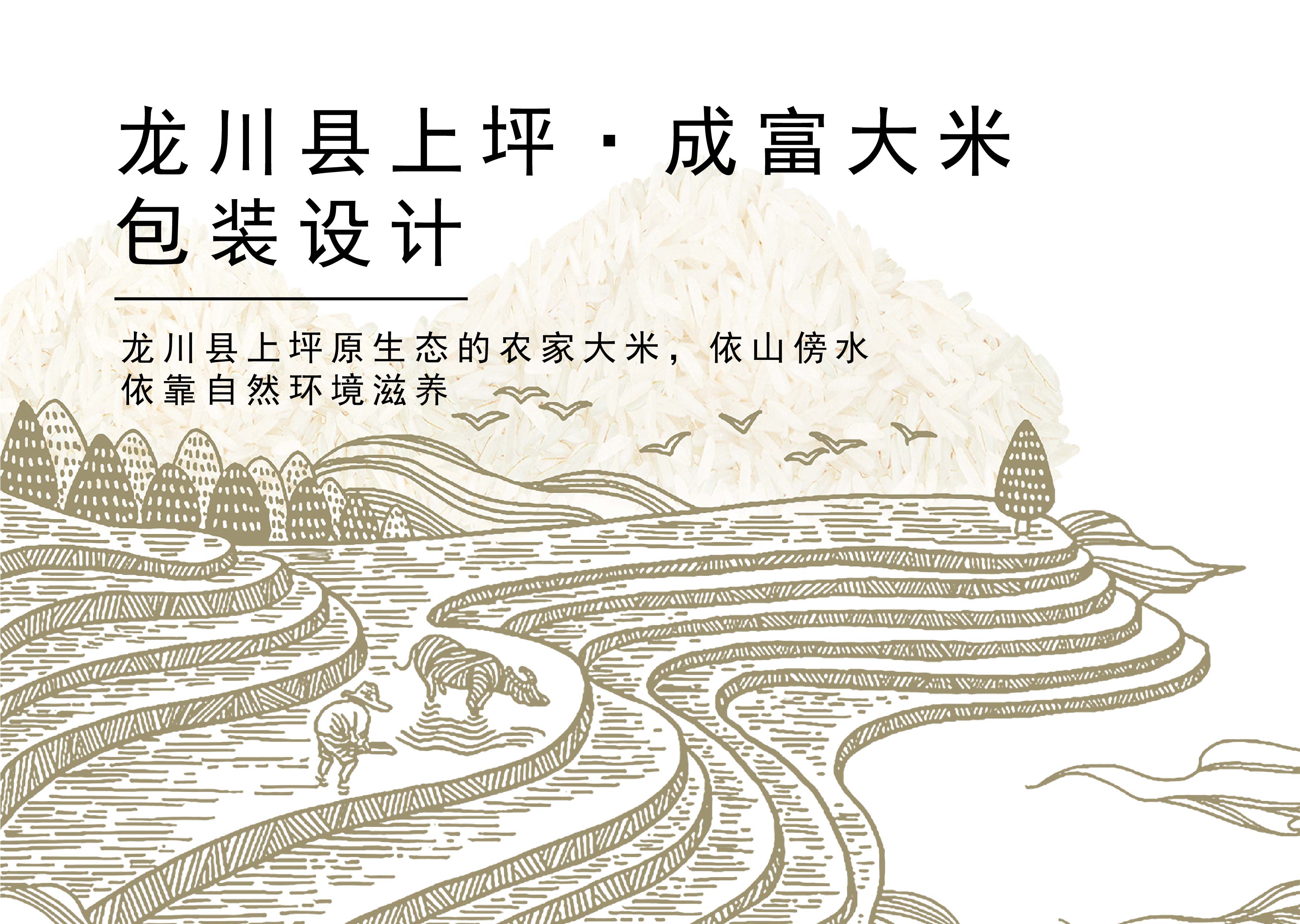 成富大米包装设计_画板 1.jpg